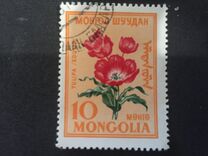 [Flowers, Вид EM]