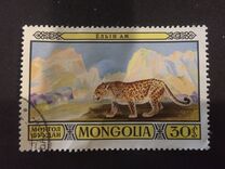 [Games Reserves - Fauna, loại AFC]