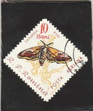 [Butterflies & Moths, тып BTG]