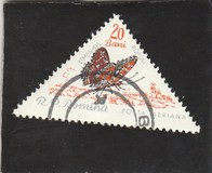 [Butterflies & Moths, тып BTH]