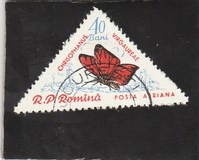 [Butterflies & Moths, тып BTI]
