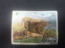[Wild Animals, Вид RK]