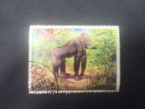 [Wild Animals, Tüüp RL]