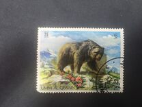 [Wild Animals, Tüüp RN]
