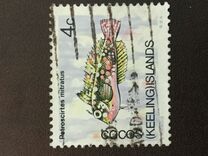[Decimal Currency - Animals of the Cocos Islands, type K]