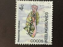 [Decimal Currency - Animals of the Cocos Islands, type K]