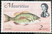 [Marine Life, ประเภท EX]