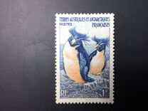 [Penguins and Seals, type B1]