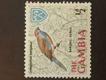 [Birds, type BM]