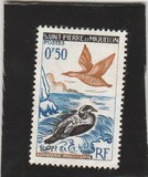 [Birds, type CX]