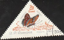 [Butterflies & Moths, тып BTH]