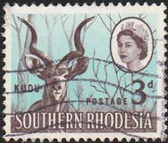 [Local Motives, Tip X]