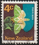 [Local Motifs, type SC]