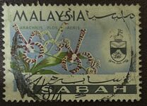 [Orchids, τύπος F]