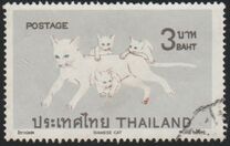 [Siamese Cats, 类型 NO]