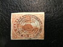 [Beaver, type D]