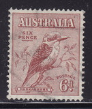 [Kookaburra, type P]