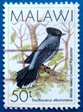 [Birds, type QD]
