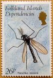 [Insects, type BF]