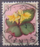 [Indigenous Flora, प्रकार BI]