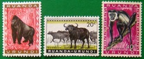 [Fauna, Scrivi CA]