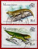 [Geckos, típus YS]