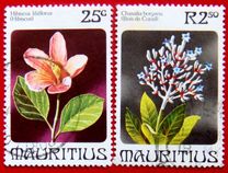 [Flowers, Typ LR]