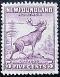 [Newfoundland Issue - New Colors and Values, type DS1]