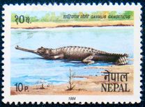 [Animal Protection, type LE]