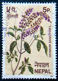 [Nepalese Spices, type JF]