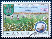 [The 100th Anniversary of Malanje Municipality, Typ KT]