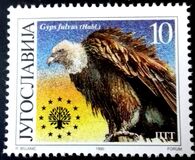 [European Nature Conservation, Tipe CQA]