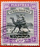 [Camel Postman - New Arabic Inscription, type R6]