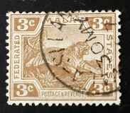 [Tiger - Different Watermark, type C45]