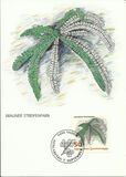[Ferns, jenis AKM]