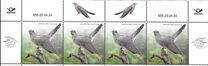 [Bird of the Year - The Common Cuckoo, type BHK]