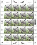 [Bird of the Year - The Common Cuckoo, type BHK]