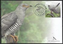 [Bird of the Year - The Common Cuckoo, type BHK]