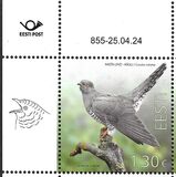 [Bird of the Year - The Common Cuckoo, type BHK]
