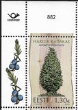 [Estonian Forest Trees - The Common Juniper, տեսակ DIJ]