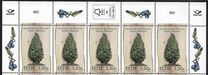 [Estonian Forest Trees - The Common Juniper, տեսակ DIJ]
