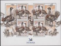 [Birds - Great Bustard, प्रकार VK]