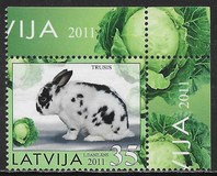 [Year of the Rabbit, प्रकार UV]