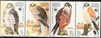 [Birds of Prey - WWF, Tüüp XE]