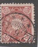 [Chrysanthemum, type AL1]