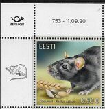 [Fauna - The Black Rat, type BDJ]