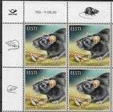 [Fauna - The Black Rat, type BDJ]