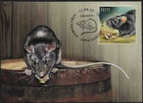 [Fauna - The Black Rat, type BDJ]