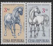 [Kladrubski Horses, Typ DR]