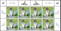[Fauna - The Stoat, type BEG]